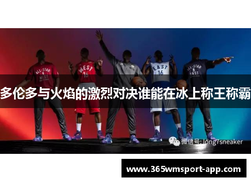 多伦多与火焰的激烈对决谁能在冰上称王称霸